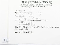 登錄號:F0013405藏品圖，第2張