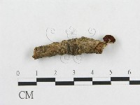 登錄號:F0013405藏品圖，第1張