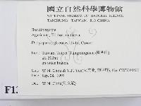 登錄號:F0013406藏品圖，第2張