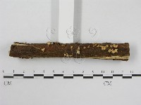 登錄號:F0013406藏品圖，第4張
