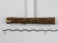登錄號:F0013406藏品圖，第5張