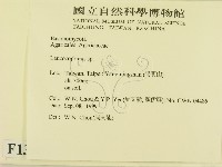 登錄號:F0013411藏品圖，第2張