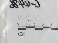 登錄號:F0013411藏品圖，第1張