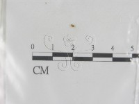 登錄號:F0013411藏品圖，第3張