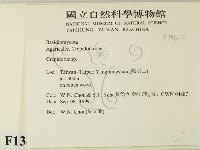 登錄號:F0013412藏品圖，第2張