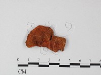 登錄號:F0013412藏品圖，第1張