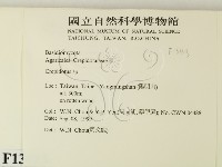 登錄號:F0013413藏品圖，第2張