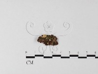 登錄號:F0013413藏品圖，第1張