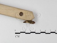 登錄號:F0013413藏品圖，第3張
