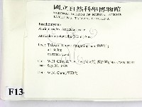 毛木耳藏品圖，第2張