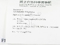 登錄號:F0013417藏品圖，第2張