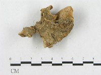 登錄號:F0013417藏品圖，第3張