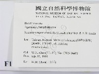 登錄號:F0013418藏品圖，第2張