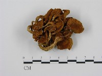 登錄號:F0013418藏品圖，第1張