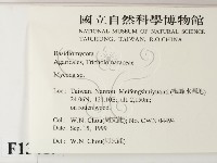 小菇屬藏品圖，第2張