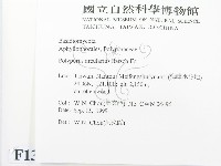 登錄號:F0013421藏品圖，第2張