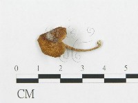 登錄號:F0013421藏品圖，第3張