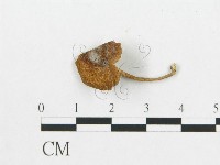 登錄號:F0013421藏品圖，第4張