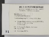 登錄號:F0013422藏品圖，第2張