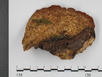 登錄號:F0013422藏品圖，第3張