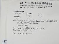 銀耳屬藏品圖，第2張