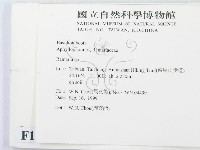 登錄號:F0013424藏品圖，第2張