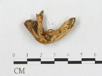 登錄號:F0013424藏品圖，第1張
