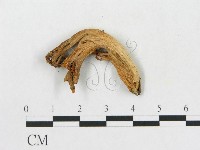 登錄號:F0013424藏品圖，第3張