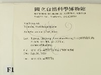 登錄號:F0013425藏品圖，第2張