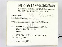 登錄號:F0013426藏品圖，第2張
