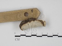 登錄號:F0013427藏品圖，第3張