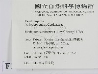 登錄號:F0013428藏品圖，第2張
