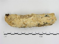 登錄號:F0013428藏品圖，第1張