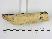 登錄號:F0013428藏品圖，第3張
