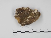 登錄號:F0013429藏品圖，第1張