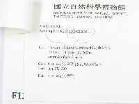登錄號:F0013430藏品圖，第3張