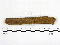 登錄號:F0013431藏品圖，第1張