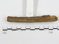 登錄號:F0013431藏品圖，第3張