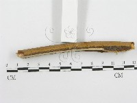登錄號:F0013431藏品圖，第4張