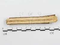 登錄號:F0013431藏品圖，第5張