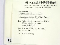 登錄號:F0013432藏品圖，第2張