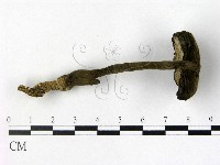 登錄號:F0013432藏品圖，第1張