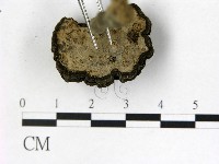 登錄號:F0013432藏品圖，第3張