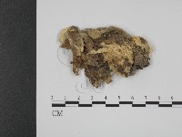 登錄號:F0013433藏品圖，第1張