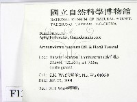 登錄號:F0013434藏品圖，第2張