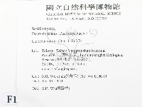 登錄號:F0013437藏品圖，第2張