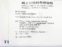 登錄號:F0013438藏品圖，第2張