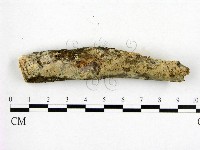 登錄號:F0013438藏品圖，第1張