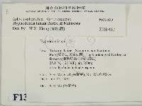 登錄號:F0013439藏品圖，第2張