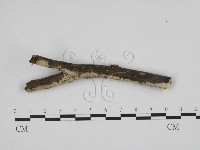 登錄號:F0013439藏品圖，第1張